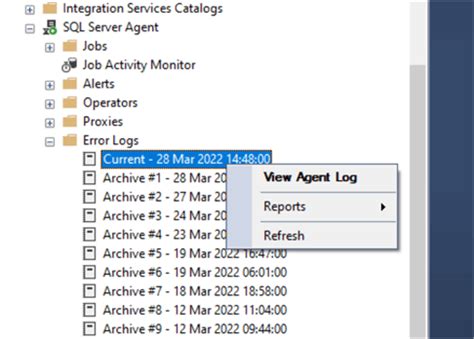 SQL Server Error Log 的图像结果