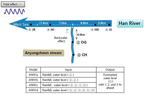 Hourly Water Level Forecasting at Tributary Affected by Main River ...