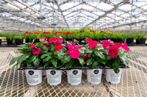 Low-Profile Tray | The HC Companies