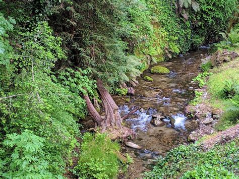 Santa Margarita Groundwater Agency and Upcoming Water District Plans ...