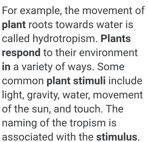 plants respond to stimuli during a project work on it, from which ...