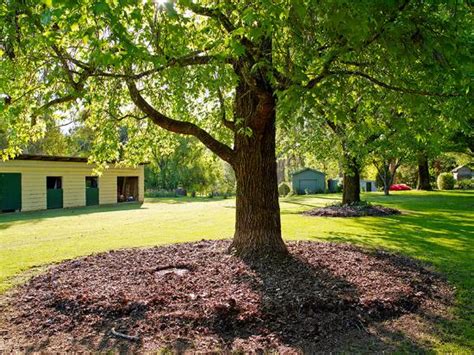 BUFFALO MOTEL AND COUNTRY RETREAT (Porepunkah) - Motel Reviews, Photos ...