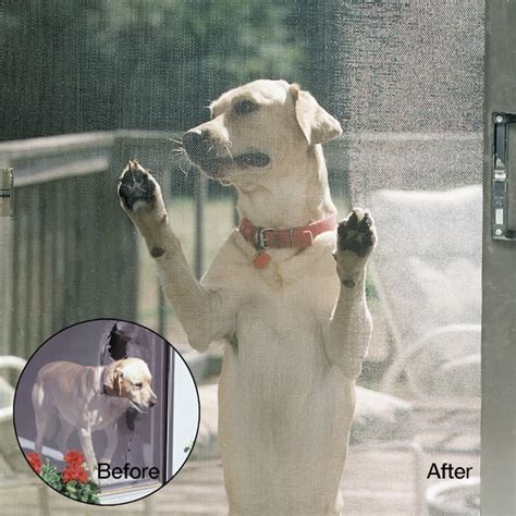 Phifer PetScreen 3-ft x 50-ft Black Polyester Screen Mesh 3004133 at ...