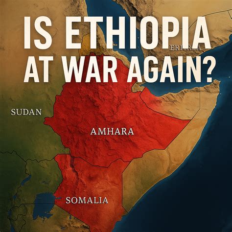 Inside Russia's Black Dolphin Prison: A Supermax Like No Other