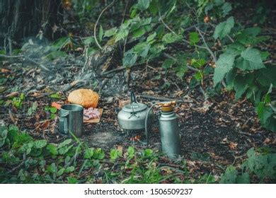 Forest Survival 的图像结果