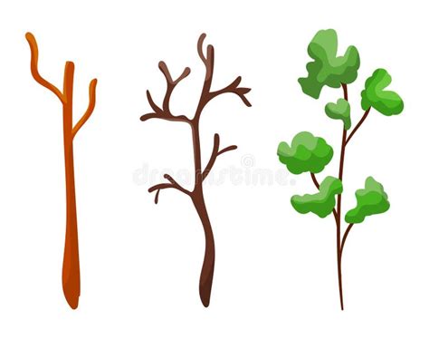 Image result for Sapling Development