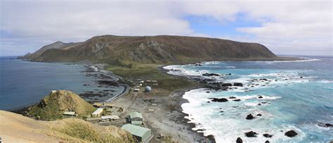 The Island — Macquarie Island Conservation Foundation
