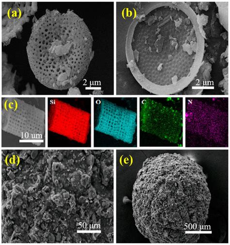Preparation of Chitosan-Diatomite/Calcium Alginate Composite Hydrogel ...