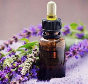 Thyme Organic Essential Oil