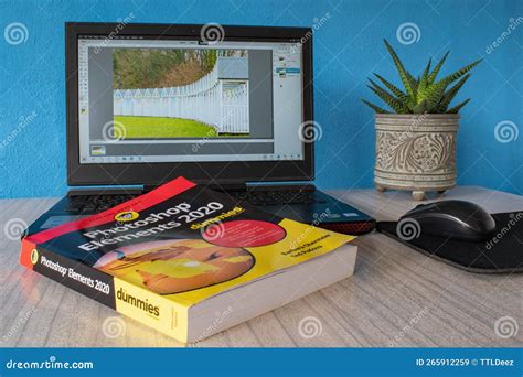 Image result for Photoshop Elements 2021 For Dummies Tutorial