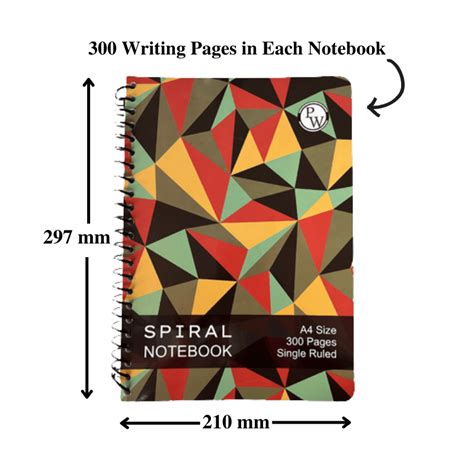 100 Page Notebook 的图像结果