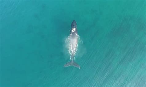 KAUAI SEA TOURS (2026) All You Need to Know BEFORE You Go (with Photos ...