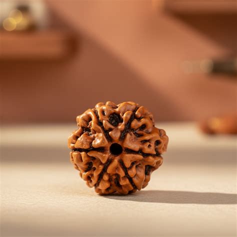 Perfect Rudraksha Beads for Your Spiritual Journey – Rudraksha Life