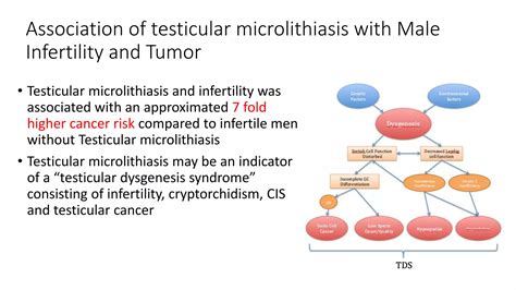 Testicular Microlithiasis.pptx