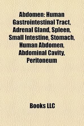 Abdomen: Human Gastrointestinal Tract, Adrenal Gland, Spleen, Small ...