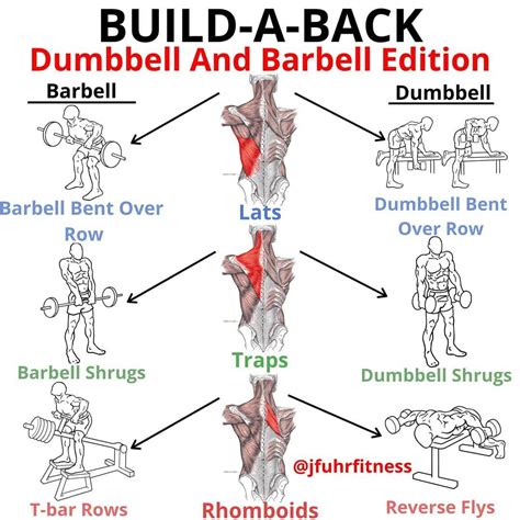 Exercise For Back With Dumbbells At Home | ppgbbe.intranet.biologia.ufrj.br