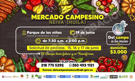 Regresa a Neiva el mercado campesino - TSM Noticias