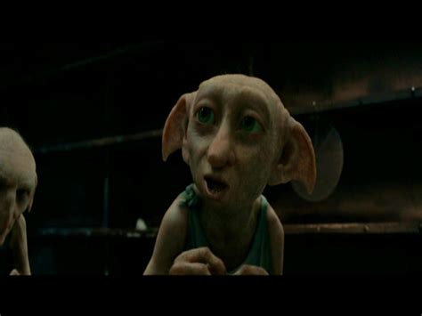 🔥 [120+] Dobby Wallpapers | WallpaperSafari