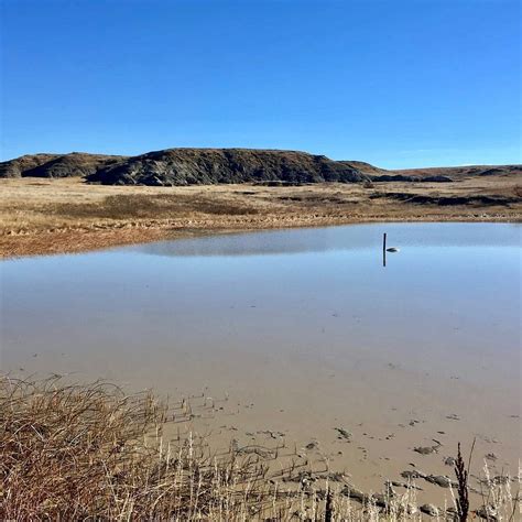 Blacktail Trail (Shadehill) - All You Need to Know BEFORE You Go