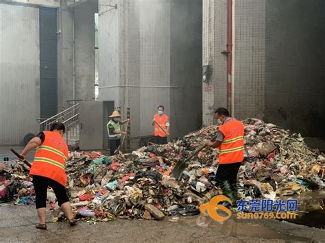 后续来了！这些环卫工从30吨垃圾中找回3.8万现金之后......_东莞阳光网