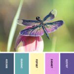 Nature Color 的图像结果