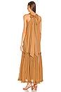 Joslin Studio Adrianna Organic Cotton Poplin Maxi Dress in Cinnamon ...