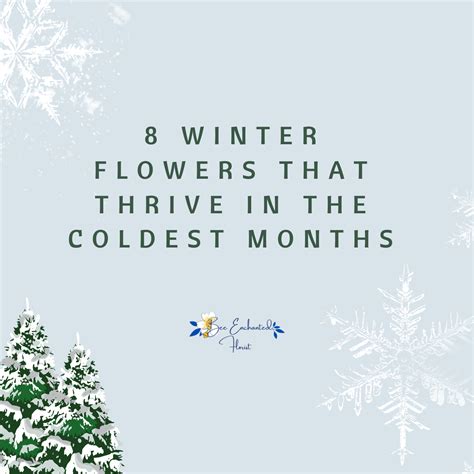 8 Winter Flowers that Thrive in the Coldest Months | Bee Enchanted Florist