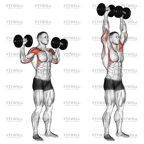 Dumbbell Standing Overhead Press: Exercise Guide, Video, Techniques ...