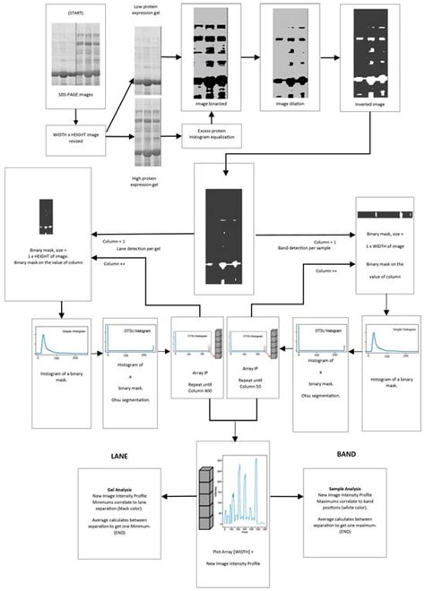 Algorithms Review 的图像结果