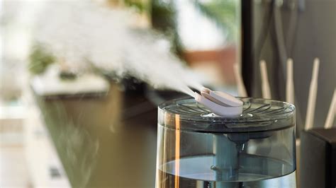 Benefits of Using a Humidifier 2022 | HowtoHome