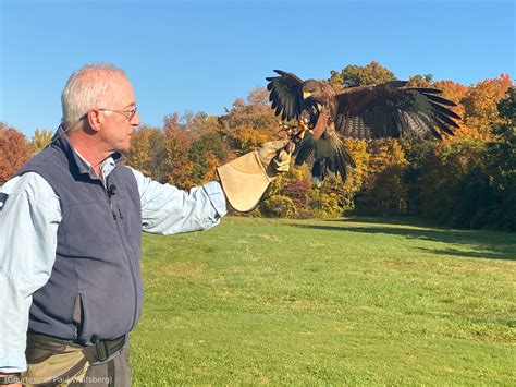 American falconers explain their love of the sport | ShareAmerica