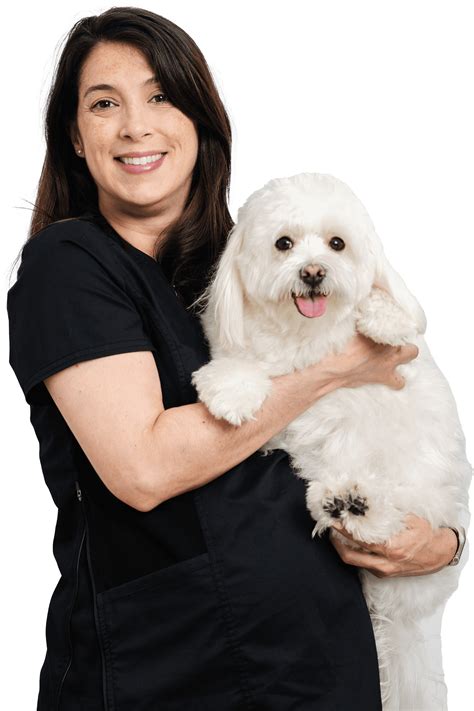 Veterinarians: Meaning, Types, and Specializations