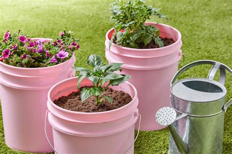 Five Gallon Bucket Garden 5 Gallon Bucket Garden : R/gardening