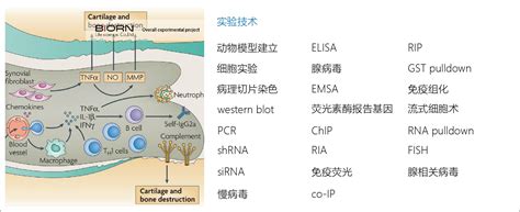 拿着试管做实验的医生动作摄影图5472*3648图片素材免费下载-编号722519-潮点视频