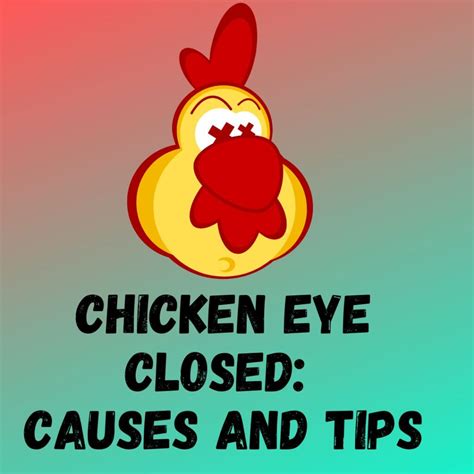 Why Is My Chickens Eyes Swollen Shut at Nathan Masterson blog