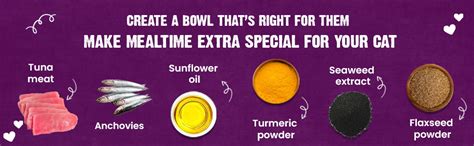 Goofy Tails Wet Cat Food and Kitten Food, Tuna and Anchovies 350g (70g ...