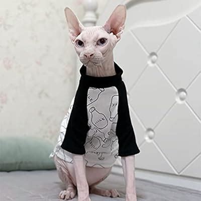 Buy Bonaweite Hairless Cats T-Shirt for Spring Summer Autumn ...