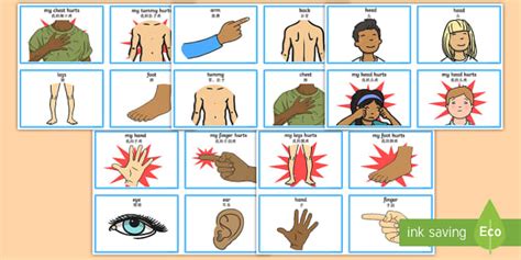 Mandarin Communication Cards - Parts of the Body | Twinkl