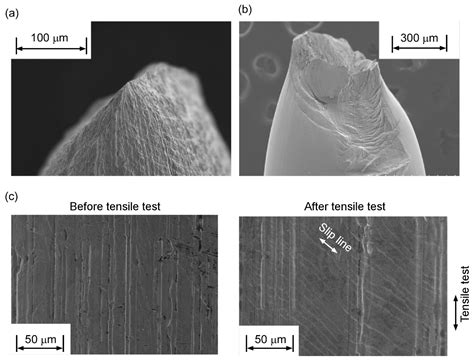 Microstructure and Mechanical Properties of Platinum Fiber Fabricated ...