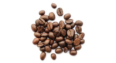 ThriveCo Rosemary Hair Kit with Shampoo, Conditioner & EO