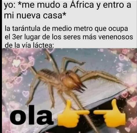 Top memes de Random en español :) Memedroid