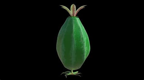 Image result for Alien Plant 3D Inseminate