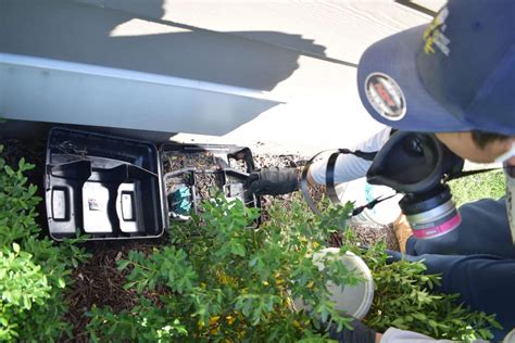 Spiders in Maryland: Types, Habits & Control Tips