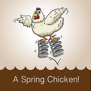 Image result for Spring Chicken Sing and Sign