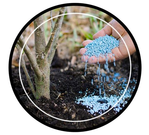 Bio Fertilizer in New Delhi, Potassium Nitrate Fertilizer in New Delhi