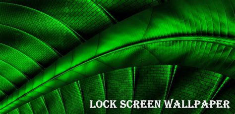 Image result for Green Windows Lock Screen