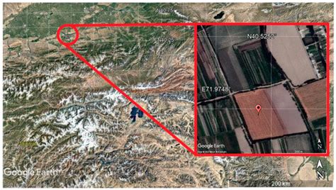 Influence of Mineralized Water Sources on the Properties of Calcisol ...