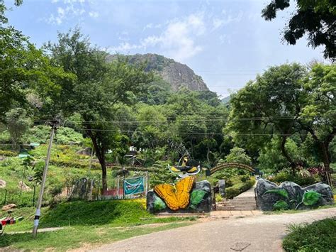 MONICA GARDEN BUNGALOW (Valparai, Tamil Nadu) - Campground Reviews ...