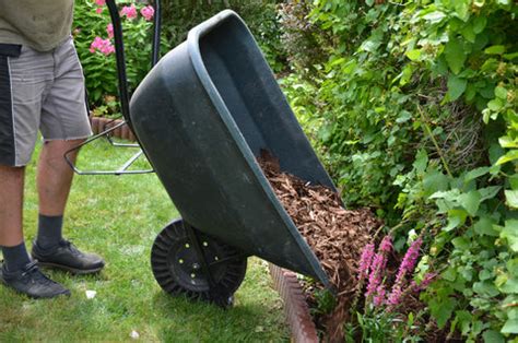 How Can You Create Your Own Mulch? – Ugaoo