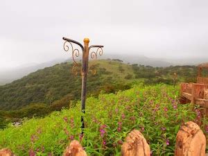 What to see in Salalah (Updated Sep 2024)